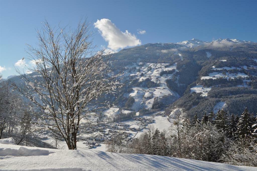 Apartament Schweinberger Sixtus Aschau Im Zillertal Zewnętrze zdjęcie
