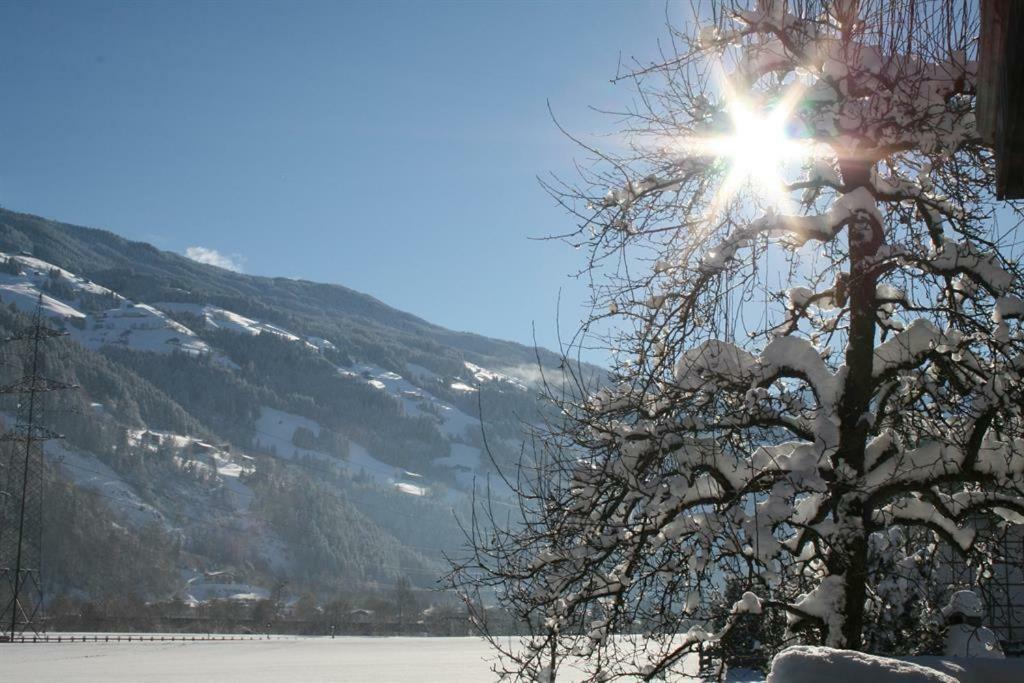 Apartament Schweinberger Sixtus Aschau Im Zillertal Zewnętrze zdjęcie