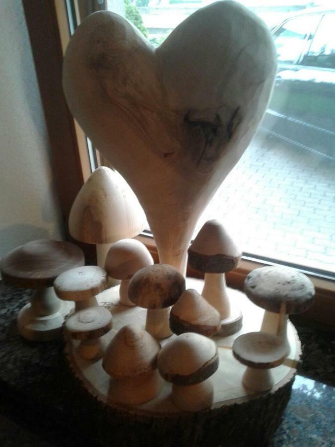 Apartament Schweinberger Sixtus Aschau Im Zillertal Zewnętrze zdjęcie